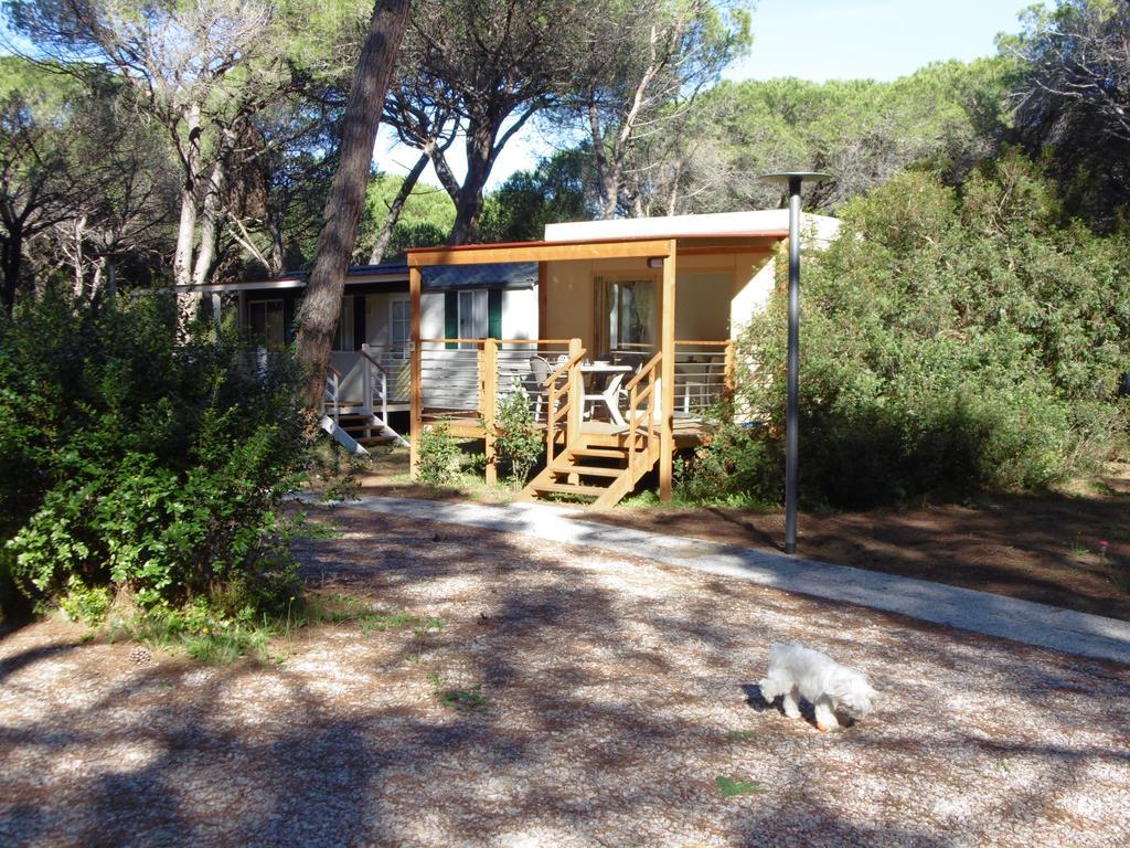 Camping Eden Марина-ди-Гроссето Номер фото
